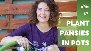 How to Plant Pansies in Pots [upl. by Brucie]