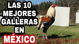 Las 10 mejores Galleras en México [upl. by Ludvig]