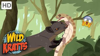 Wild Kratts  Cobra VENOMWildlife [upl. by Demahom]