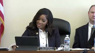 Ranking Member Jasmine Crockett delivers opening remarks [upl. by Baer]