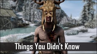 Skyrim 5 Things You Probably Didnt Know You Could Do  The Elder Scrolls 5 Secrets Part 13 [upl. by Peers]