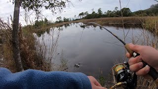 Fishing BRACKISH Water for Saltwater AND Freshwater Fish [upl. by Nitsej]