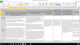 How to Create a Literature Matrix Excel [upl. by Hadden]