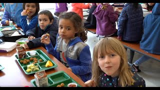 Kindergarten School Lunch [upl. by Novanod]