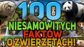 100 Zaskakujących Faktów o Zwierzętach [upl. by Lindeberg]