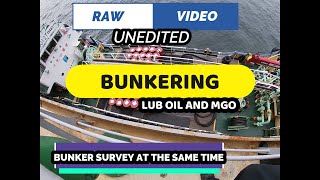 BUNKERING LUBE OIL MGO amp BUNKER SURVEY AT THE SAME TIME [upl. by Peta]