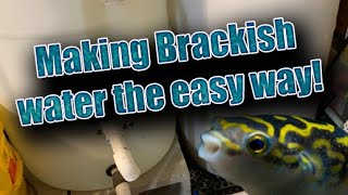 How to make brackish water the easy way [upl. by Mullac11]