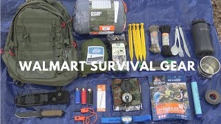 Overnight 250 Walmart Survival Challenge [upl. by Iv]