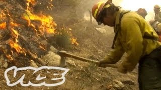 How to Fight Forest Fires [upl. by Elwyn745]