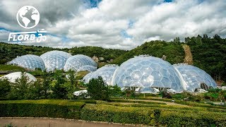 They Built a Rainforest Ecosystem inside a Geodesic Dome [upl. by Uranie323]