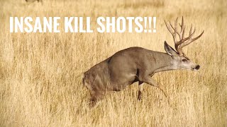 TOP 44 BEST HUNTING KILL SHOTS BOW AND RIFLE [upl. by Lletnwahs71]