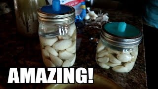 HOW TO FERMENT GARLIC AND WHY RAW FOODHEALTHY [upl. by Beata272]