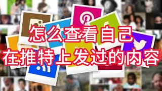 怎么查看自己在推特上发过的内容？Twitter发布的历史作品怎么看 Twitter使用指南 Twitter操作方法 Twitter干货 [upl. by Nellda784]