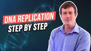 6 Steps of DNA Replication [upl. by Ejroj69]