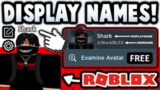 The DISPLAY NAME UPDATE Has Been 60 Released ROBLOX [upl. by Hazmah]