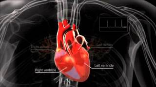 What is atrial fibrillation [upl. by Devon]