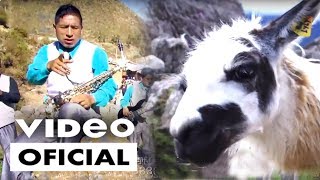 Los Super Brillantes del Ande  Mi Perú Video Oficial  Tania Producciones ✓ [upl. by Anailuj359]