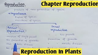 Reproduction in plants  Life Cycle Bryophyte And Gymnosperms  Class 12 Biology [upl. by Aiynat]