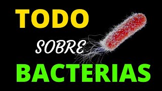 TODO SOBRE LAS BACTERIAS [upl. by Rabka]