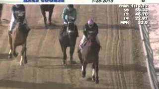 Live Video and Replay Racing at Hollywood Casino at Penn National Race Course 2 [upl. by Auqinahc]