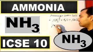 Ammonia  Ammonia ICSE 10 CHEMISTRY  Preparation and Properties of Ammonia  10 ICSE [upl. by Farleigh865]