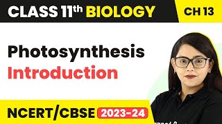 Class 11 Chapter 13  Photosynthesis Introduction  Photosynthesis in Higher Plants [upl. by Yrebmik]