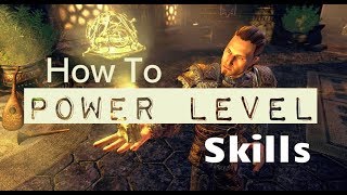 ESO Leveling Guide How to Level Up Skills FAST in The Elder Scrolls Online [upl. by Ydak252]