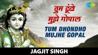 Tum Dhondho Mujhe Gopal  तुम ढूंढो मुझे गोपाल  Krishna Bhajan  कृष्णा भजन Jagjit Singh [upl. by Ysnil]