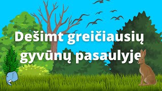 Dešimt greičiausių gyvūnų pasaulyje🐯  Edukaciniai filmukai vaikams🐘 [upl. by Levinson]