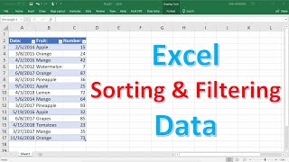 Excel Sorting and Filtering Data [upl. by Pedroza116]