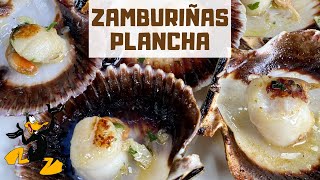 Zamburiñas a la Plancha 🤤 ¡VIEIRAS O VOLANDEIRAS [upl. by Gnol881]