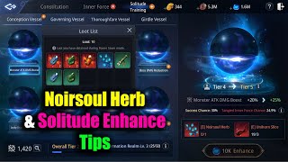 MIR4 Noirsoul Herb amp Solitude Enhance Tips [upl. by Lanaj]