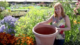 Container Gardening 101 [upl. by Marcia]