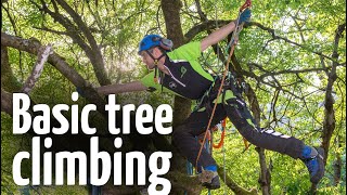 Simple amp safe tree climbing ascent technique [upl. by Eicul]