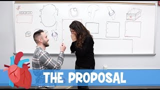 Ninja Nerd Science  The Proposal [upl. by Eerac]