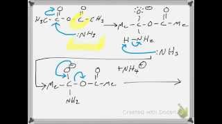 Synthesis of Acetamide from Acetic Anhydride RXN Mechanism [upl. by Limbert205]