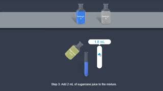 Sucrose Fehling test [upl. by Onileva]