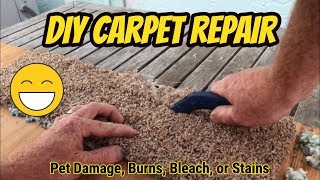 DIY Carpet Repair At a Transition Strip [upl. by Ahsienaj]