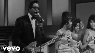 Bo Diddley  Hey Live [upl. by Anialem540]