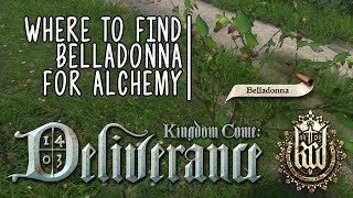 Kingdom Come Deliverance  Where To Find Belladonna Growing [upl. by Affra]