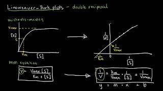 BIOCHEM 22  LineweaverBurk Plots [upl. by Beekman]