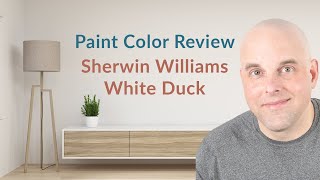 Sherwin Williams White Duck Color Review [upl. by Rehtul553]