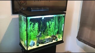 PetSmart Top Fin Essentials 37 Gallon Aquarium Kit Review [upl. by Lleznod621]