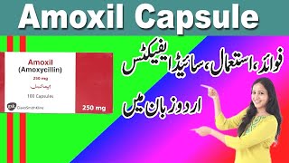 Amoxil capsules 500mg uses in urdu  amoxicillin  amoxicillin dosage [upl. by Figone]