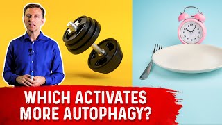 Autophagy Exercise vs Fasting [upl. by Richey]