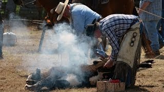 Cattle Branding [upl. by Wolk]