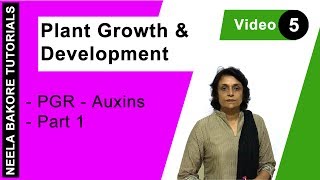 Plant Growth amp Development  NEET  PGR  Auxins  Part 1  Neela Bakore Tutorials [upl. by Latea]