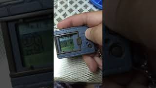 Digimon Vpet 20th Debug Mode [upl. by Robinet]