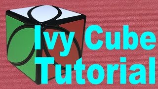 How to Solve the Ivy CubeCubominx Beginners Method [upl. by Treb]