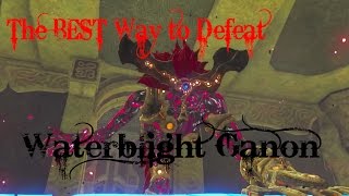 The BEST Way to Defeat Waterblight Ganon  Vah Ruta Divine Beast [upl. by Wiersma]